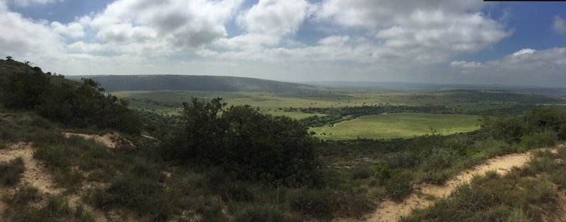 Het uitzicht in Amakhala
